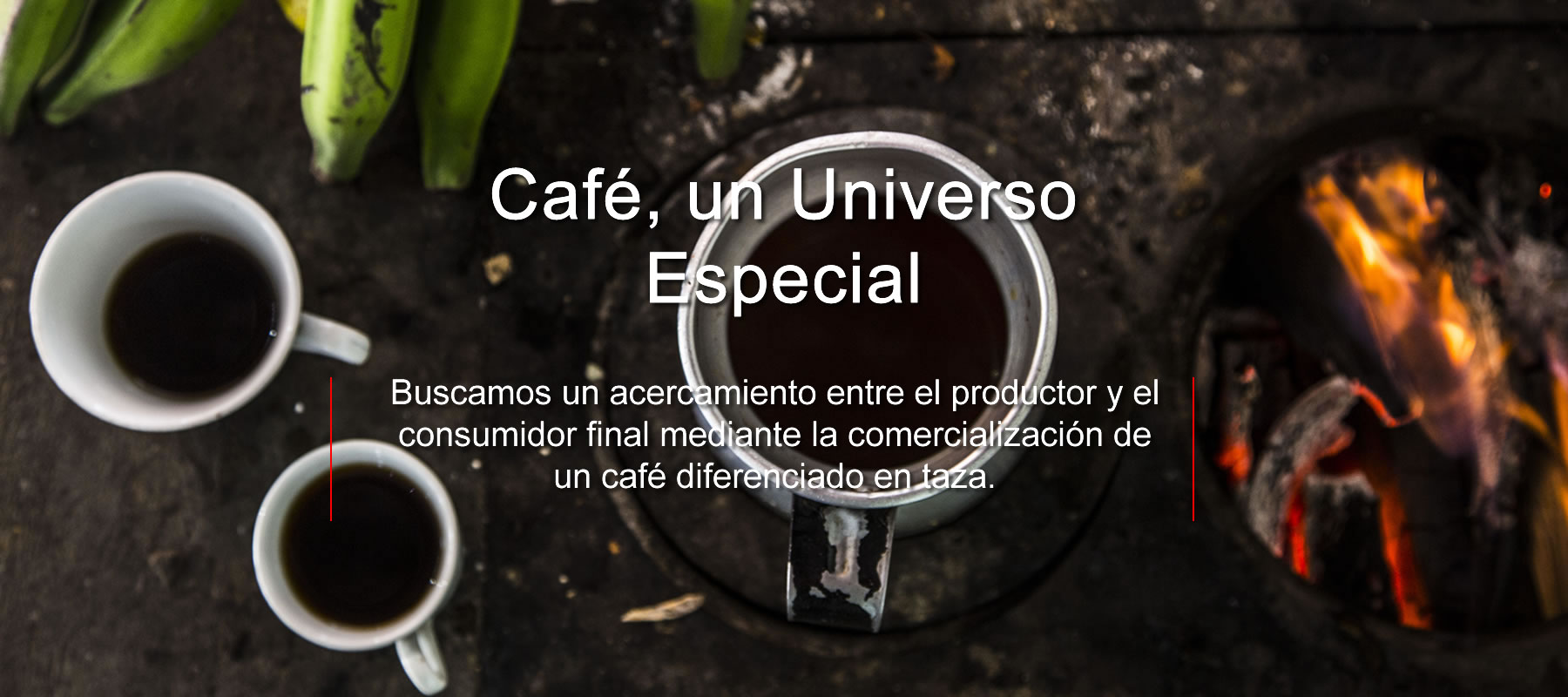 Global Cafes Cooperativa Regional de Cafés Especiales